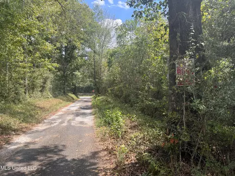 Gladhurst Road, Magnolia, MS 39652 photo 5