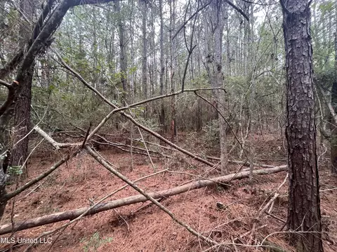 Gladhurst Road, Magnolia, MS 39652 photo 6