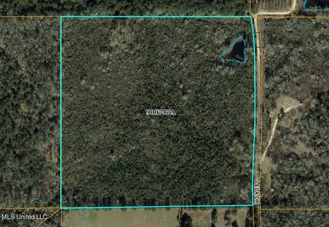 Lela Drive, Magnolia, MS 39652