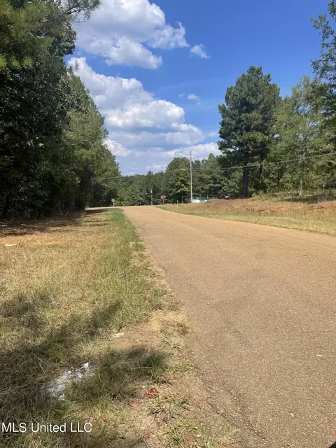 406 Pine Hill Ln, Brandon, MS 39042 photo 11