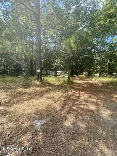 406 Pine Hill Ln, Brandon, MS 39042 photo 3