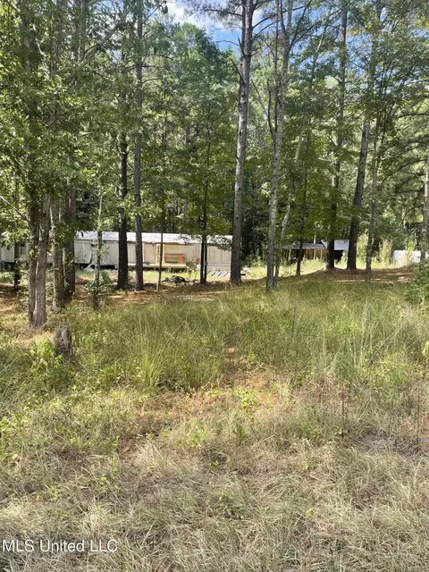 406 Pine Hill Ln, Brandon, MS 39042 photo 2