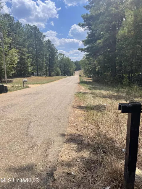 406 Pine Hill Ln, Brandon, MS 39042 photo 10