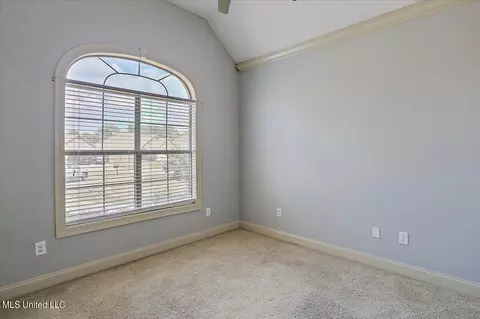 307 Pinecone Cv, Brandon, MS 39047 photo 22