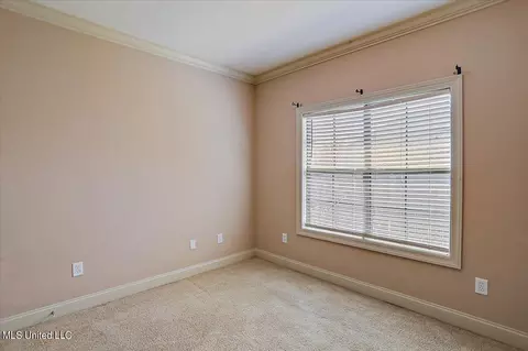 307 Pinecone Cv, Brandon, MS 39047 photo 24