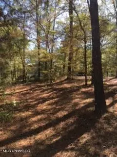 215 Pickering Rd, Florence, MS 39073 photo 16