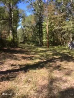 215 Pickering Rd, Florence, MS 39073 photo 17