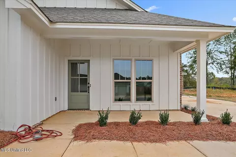 876 Long Leaf Cir, Brandon, MS 39042 photo 4