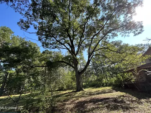 9438 Vernal River Rd, Lucedale, MS 39452 photo 6
