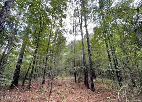 6117 Chapel Hill Rd, Utica, MS 39175