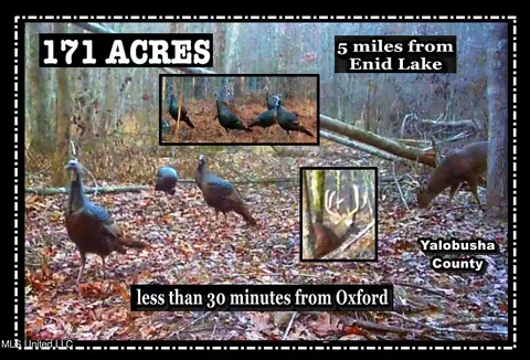 1555 Tbd Cr 57, Water Valley, MS 38965