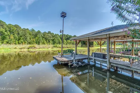237 Northwind Dr, Brandon, MS 39047 photo 79