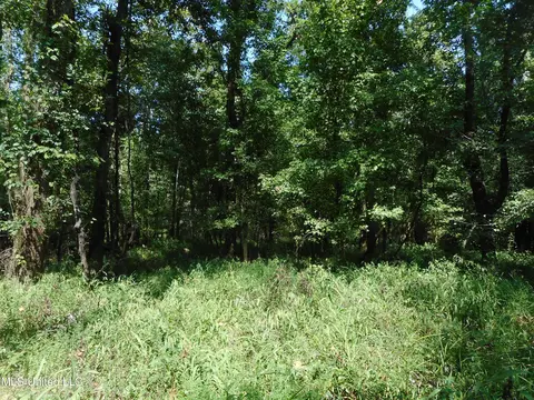 Holoman Rd., Bentonia, MS 39040 photo 15