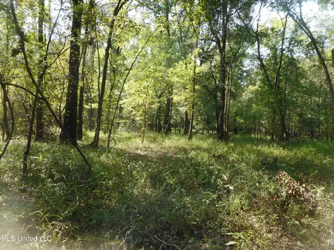 Holoman Rd., Bentonia, MS 39040 photo 16