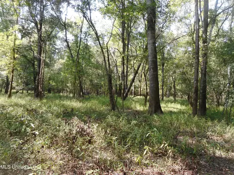 Holoman Rd., Bentonia, MS 39040 photo 9