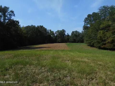 Holoman Rd., Bentonia, MS 39040 photo 7