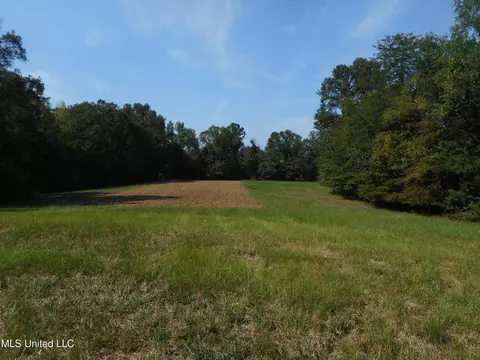 Holoman Rd., Bentonia, MS 39040 photo 18