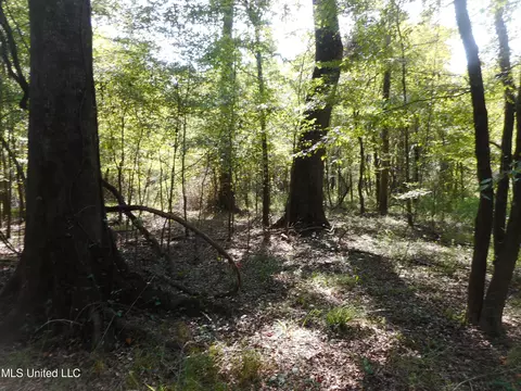 Holoman Rd., Bentonia, MS 39040 photo 8