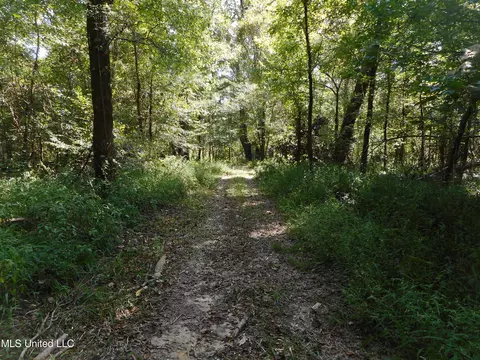 Holoman Rd., Bentonia, MS 39040 photo 6
