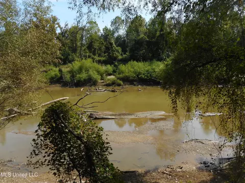 Holoman Rd., Bentonia, MS 39040 photo 12