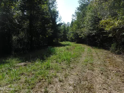 Holoman Rd., Bentonia, MS 39040 photo 17
