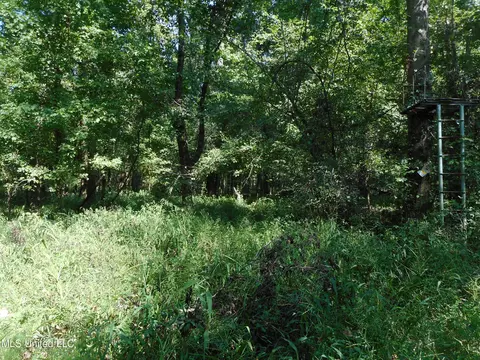 Holoman Rd., Bentonia, MS 39040 photo 13