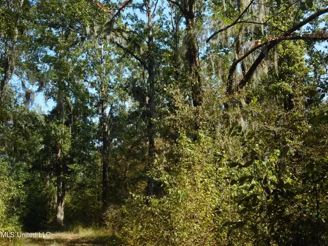 Holoman Rd., Bentonia, MS 39040 photo 4