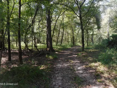 Holoman Rd., Bentonia, MS 39040 photo 3