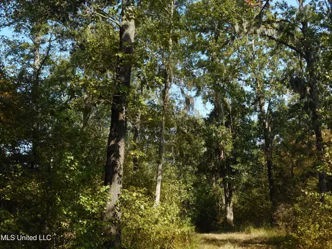 Holoman Rd., Bentonia, MS 39040 photo 14