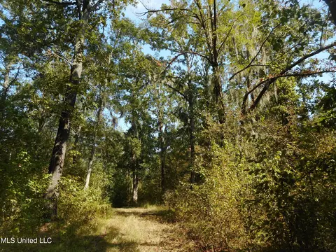 Holoman Rd., Bentonia, MS 39040 photo 10