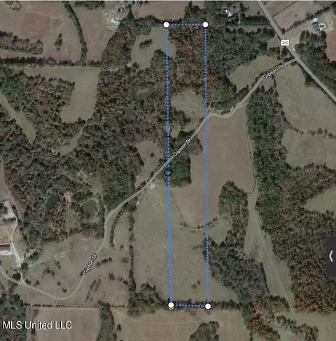 Gipson Road, Holly Springs, MS 38635