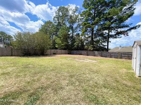 325 Willow Run, Pearl, MS 39208 photo 26