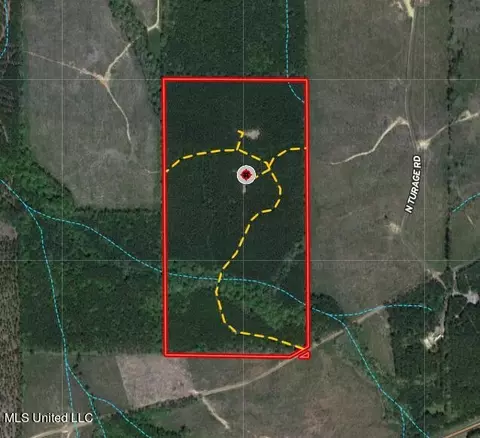 N Turnage Road, Pelahatchie, MS 39145