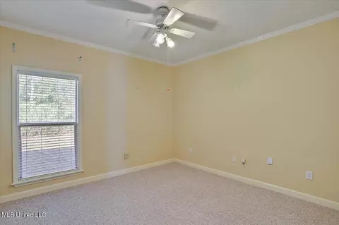 156 Pavilion Dr, Brandon, MS 39042 photo 27