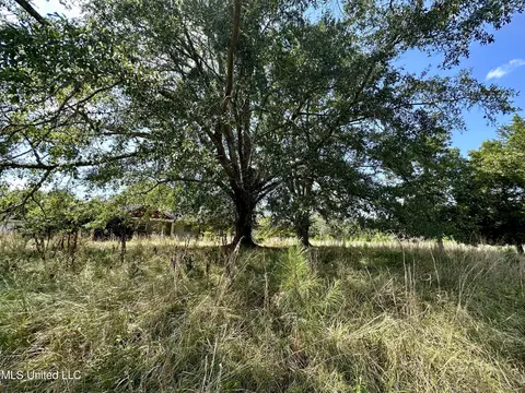 1101 Ms-413, Kilmichael, MS 39747
