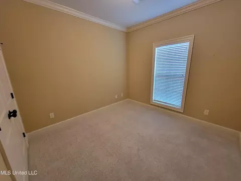 101 Trailbridge Bnd, Canton, MS 39046 photo 21