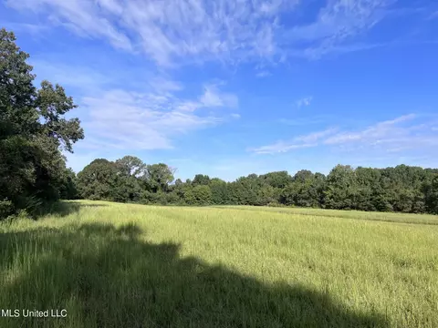 7 Dean Rd, Lake Cormorant, MS 38641