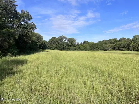 8 Dean Rd, Lake Cormorant, MS 38641