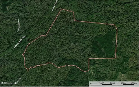Whitaker Road, Hermanville, MS 39086