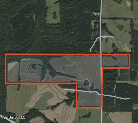 800 Black Jack Rd, Vaughan, MS 39179 photo 12