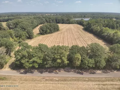 800 Black Jack Rd, Vaughan, MS 39179 photo 5