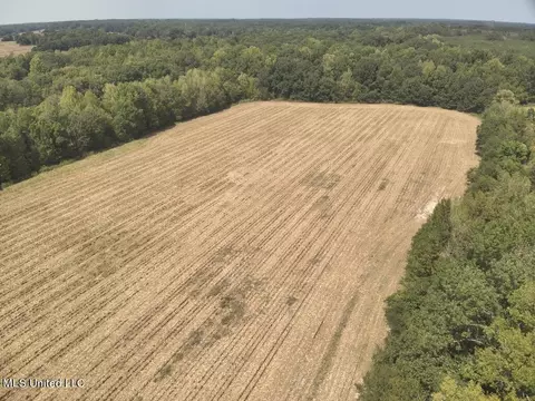 800 Black Jack Rd, Vaughan, MS 39179 photo 6