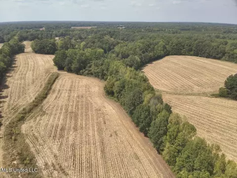 800 Black Jack Rd, Vaughan, MS 39179 photo 7