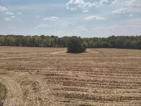 800 Black Jack Rd, Vaughan, MS 39179 photo 9