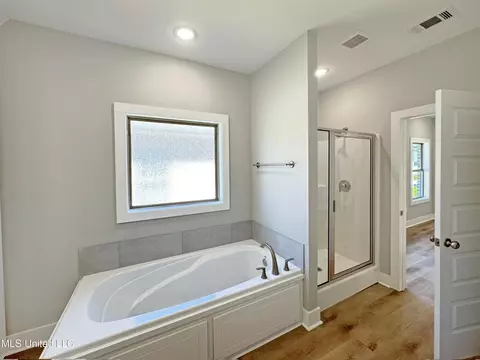 Bath - 141 Shelby Mae Cir, Brandon, MS 39042 photo 1 of 4