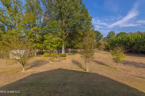 7510 Terry Rd, Terry, MS 39170 photo 39