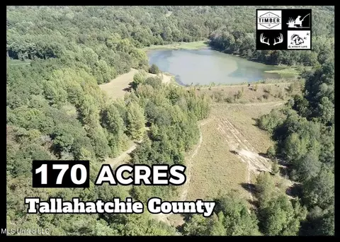 81 Cascilla Rd, Cascilla, MS 38920