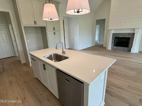 Other - 307 Birch Ct #LOT 34, Canton, MS 39046 photo 1 of 11