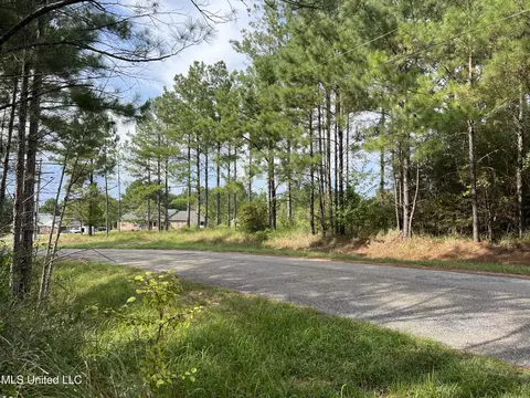 Presley Drive, Wiggins, MS 39577 photo 4