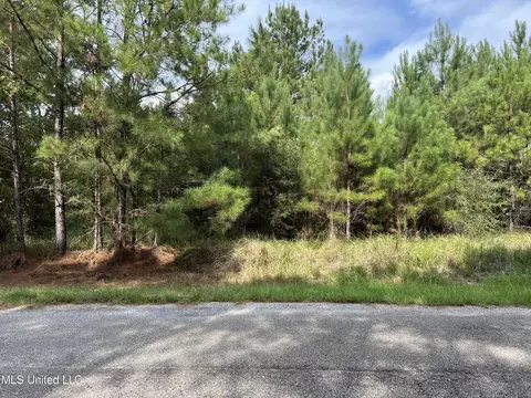 Presley Drive, Wiggins, MS 39577 photo 6